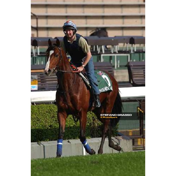 Phoenix Reach morning track works at Sha Tin Hong Kong 10th dec.2004 ph. Stefano Grasso