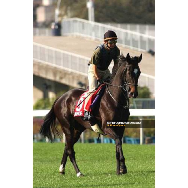 Dance In the Mood morning track works at Sha Tin Hong Kong 10th dec.2004 ph. Stefano Grasso