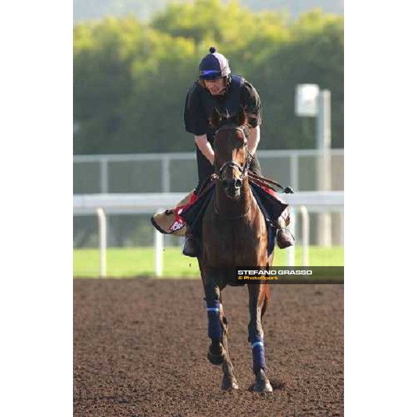 Rakti morning track works at Sha Tin Hong Kong 10th dec.2004 ph. Stefano Grasso