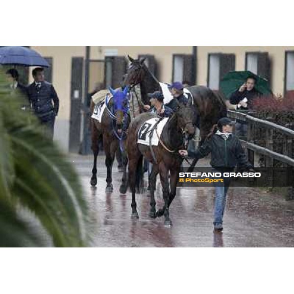 Golconde, Noble Hachy and Lady Store enter the paddock before the start of the Premio Carlo Chiesa Rome - Capannelle racecourse, 15th april 2012 photo Stefano Grasso