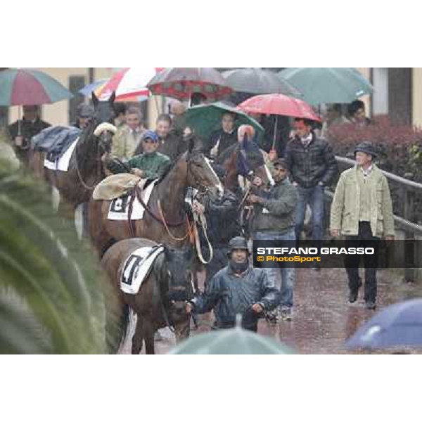 the horses owners and trainers enter the paddock before the Premio Carlo Chiesa Rome - Capannelle racecourse, 15th april 2012 photo Stefano Grasso