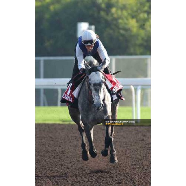 Walkamia morning track works at Sha Tin Hong Kong 10th dec.2004 ph. Stefano Grasso