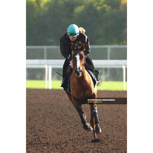 Vallee Enchantee morning track works at Sha Tin Hong Kong 10th dec.2004 ph. Stefano Grasso