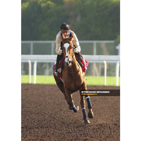 Latice morning track works at Sha Tin Hong Kong 10th dec.2004 ph. Stefano Grasso