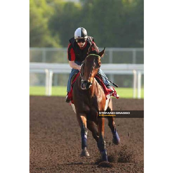 Touch of Land morning track works at Sha Tin Hong Kong 10th dec.2004 ph. Stefano Grasso