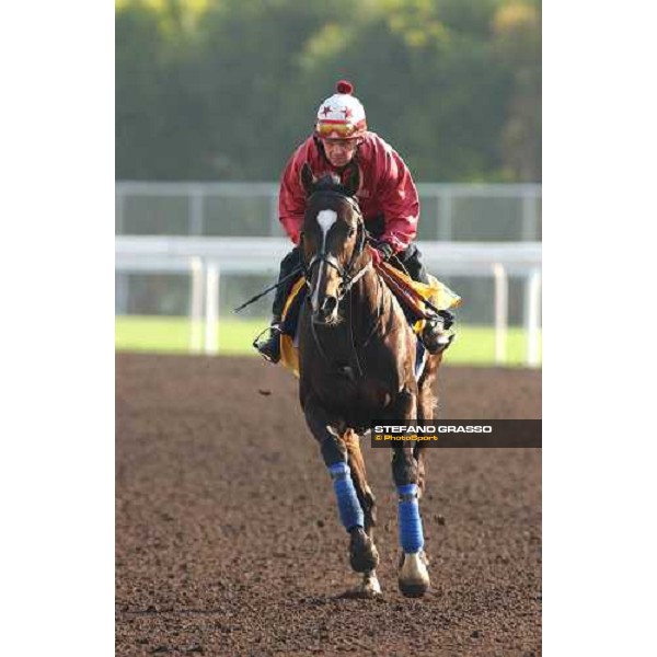 Var morning track works at Sha Tin Hong Kong 10th dec.2004 ph. Stefano Grasso