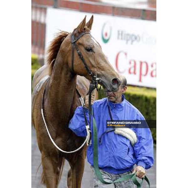 Angegreen parades after winning the Premio Lorenzo Camuffo Rome - Capannelle racecourse, 15th april 2012 photo Stefano Grasso