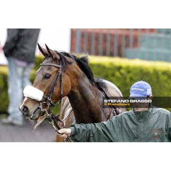 Delicatezza Rome - Capannelle racecourse, 15th april 2012 photo Stefano Grasso