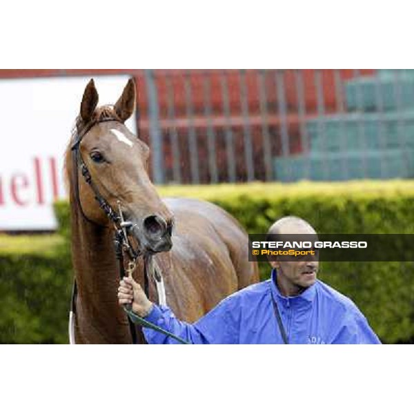 Angegreen parades after winning the Premio Lorenzo Camuffo Rome - Capannelle racecourse, 15th april 2012 photo Stefano Grasso