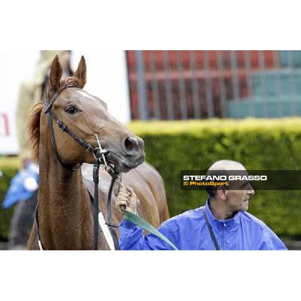Angegreen parades after winning the Premio Lorenzo Camuffo Rome - Capannelle racecourse, 15th april 2012 photo Stefano Grasso