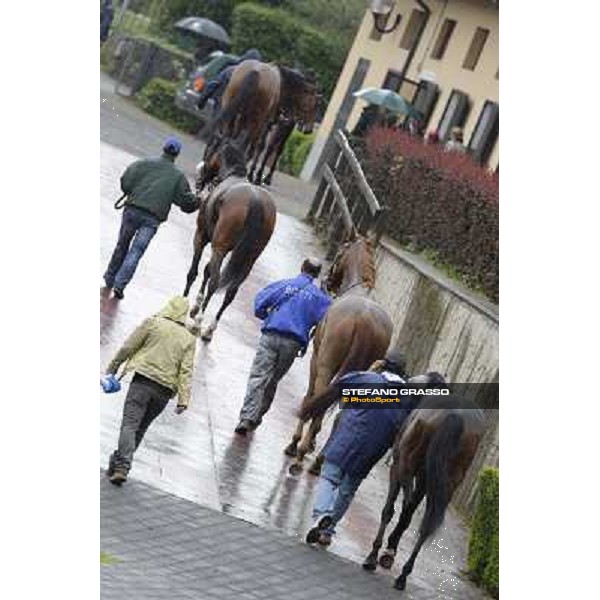 Angegreen and a group of horses return home after winning the Premio Lorenzo Camuffo Rome - Capannelle racecourse, 15th april 2012 photo Stefano Grasso