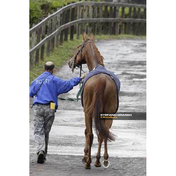 Angegreen parades after winning the Premio Lorenzo Camuffo Rome - Capannelle racecourse, 15th april 2012 photo Stefano Grasso