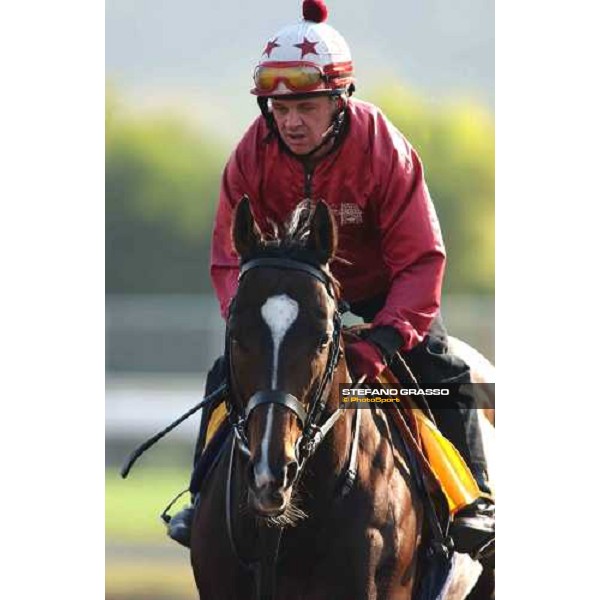 Var morning track works at Sha Tin Hong Kong 10th dec.2004 ph. Stefano Grasso