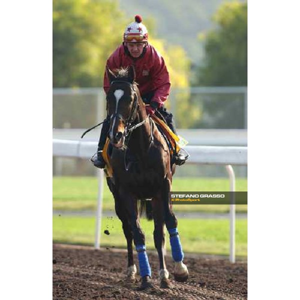 Var morning track works at Sha Tin Hong Kong 10th dec.2004 ph. Stefano Grasso