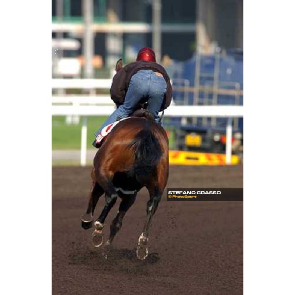 Powerscourt morning track works at Sha Tin Hong Kong 10th dec.2004 ph. Stefano Grasso