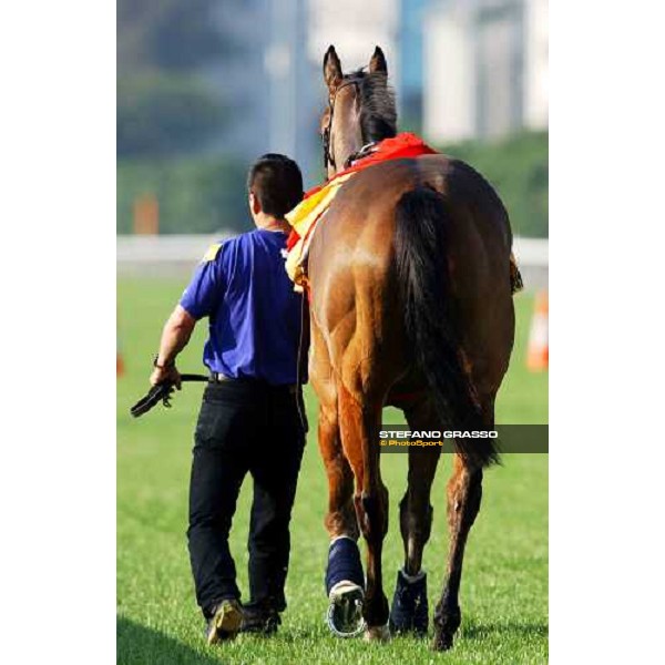 Calstone Light O morning track works at Sha Tin Hong Kong 10th dec.2004 ph. Stefano Grasso