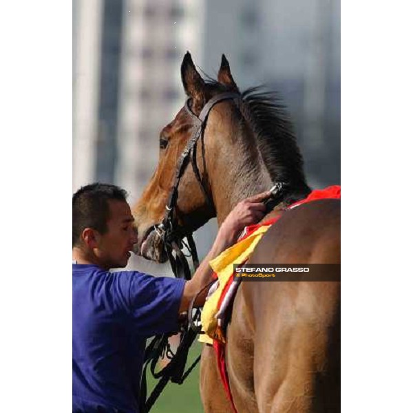 Calstone Light O morning track works at Sha Tin Hong Kong 10th dec.2004 ph. Stefano Grasso