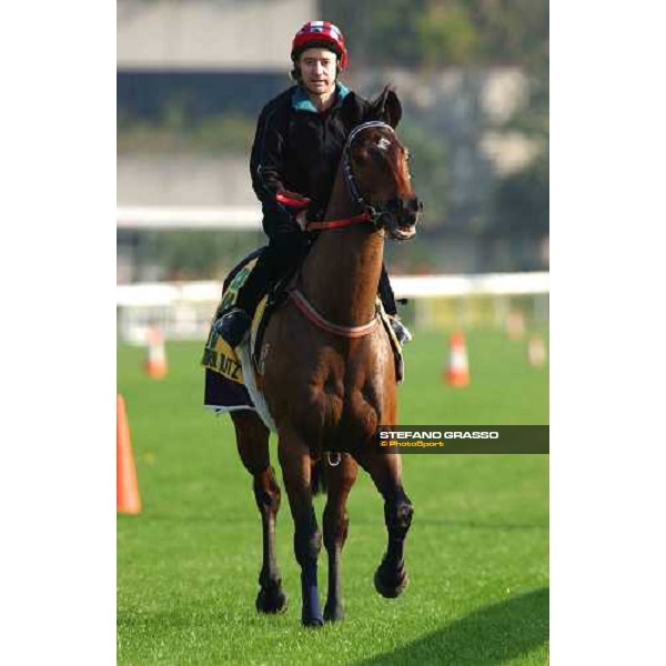 Natural Blitz morning track works at Sha Tin Hong Kong 10th dec.2004 ph. Stefano Grasso