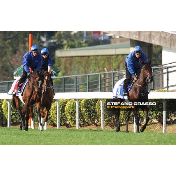Firebreak, Ancient World and Sights on Gold morning track works at Sha Tin Hong Kong 10th dec.2004 ph. Stefano Grasso