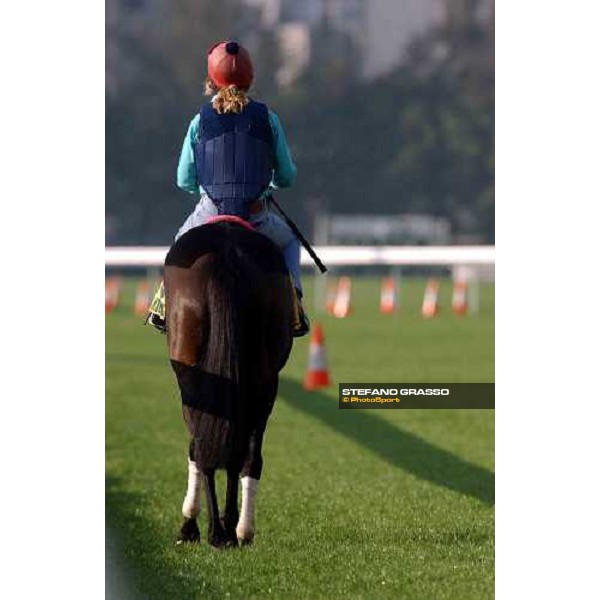 The Tatling morning track works at Sha Tin Hong Kong 10th dec.2004 ph. Stefano Grasso