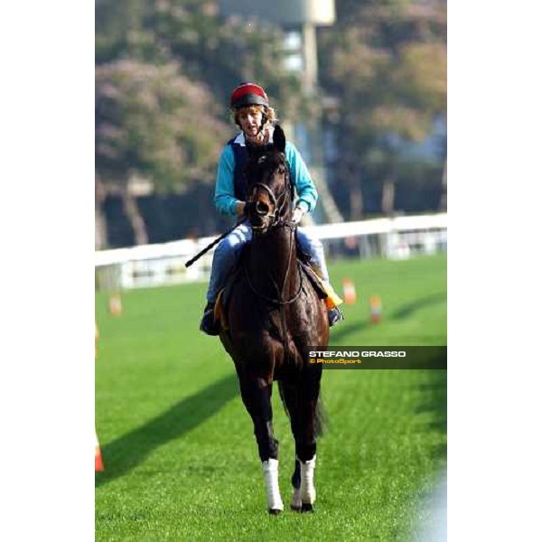 The Tatling morning track works at Sha Tin Hong Kong 10th dec.2004 ph. Stefano Grasso