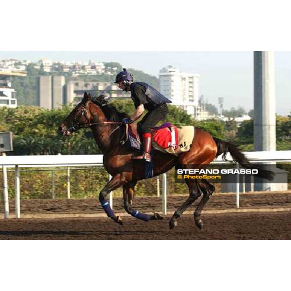Rakti morning track works at Sha Tin Hong Kong 10th dec.2004 ph. Stefano Grasso