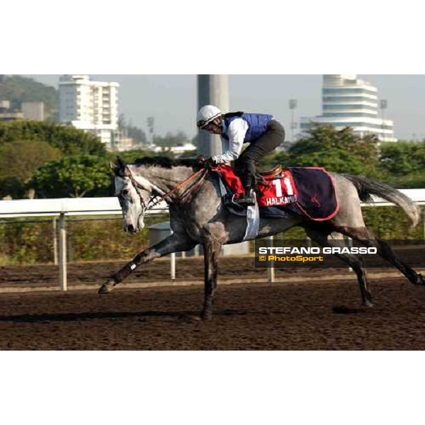 Walkamia morning track works at Sha Tin Hong Kong 10th dec.2004 ph. Stefano Grasso