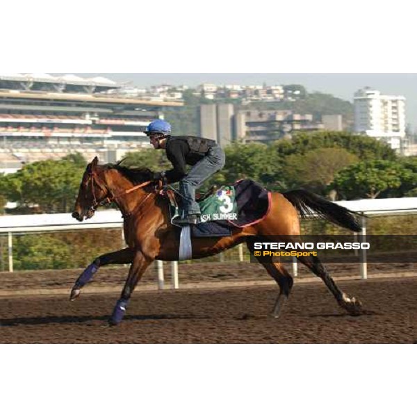 Polish Summer morning track works at Sha Tin Hong Kong 10th dec.2004 ph. Stefano Grasso