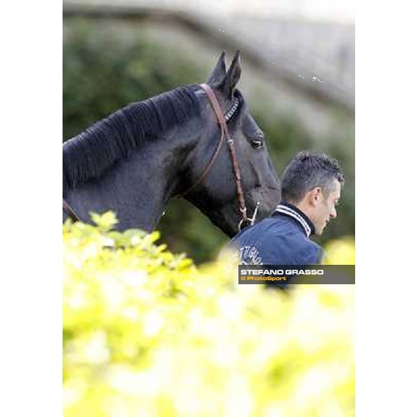 Sopran Montieri Milano - San Siro galopp racecourse, 22nd april 2012 photo Stefano Grasso