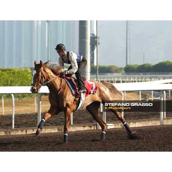 Latice morning track works at Sha Tin Hong Kong 10th dec.2004 ph. Stefano Grasso