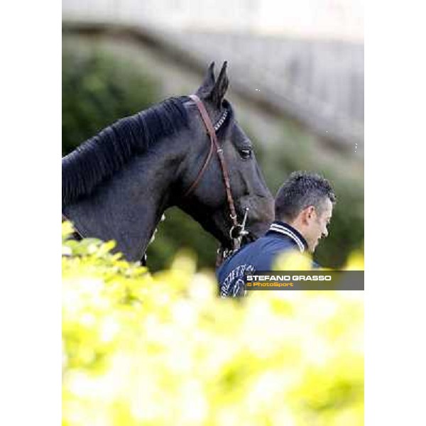 Sopran Montieri Milano - San Siro galopp racecourse, 22nd april 2012 photo Stefano Grasso