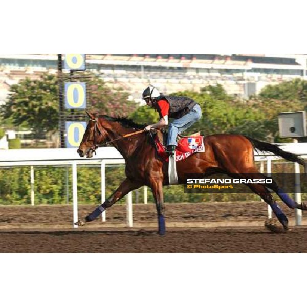 Touch of Land morning track works at Sha Tin Hong Kong 10th dec.2004 ph. Stefano Grasso