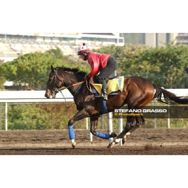 Var morning track works at Sha Tin Hong Kong 10th dec.2004 ph. Stefano Grasso