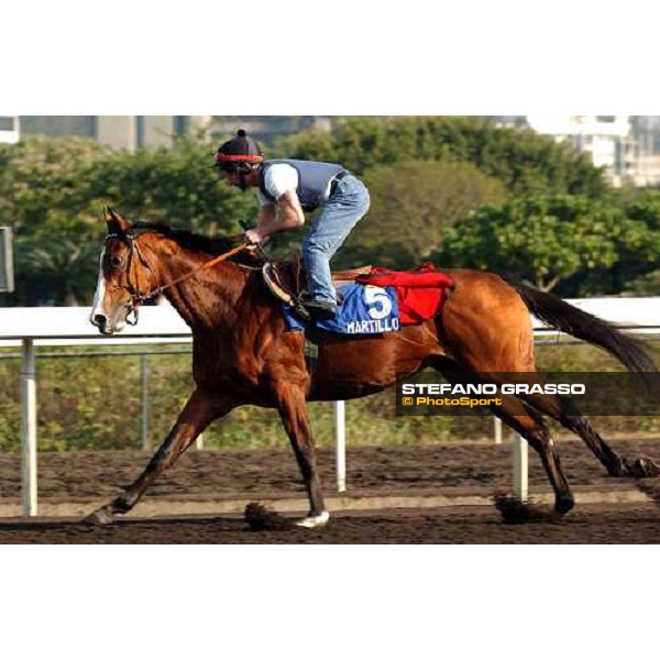 Martillo morning track works at Sha Tin Hong Kong 10th dec.2004 ph. Stefano Grasso