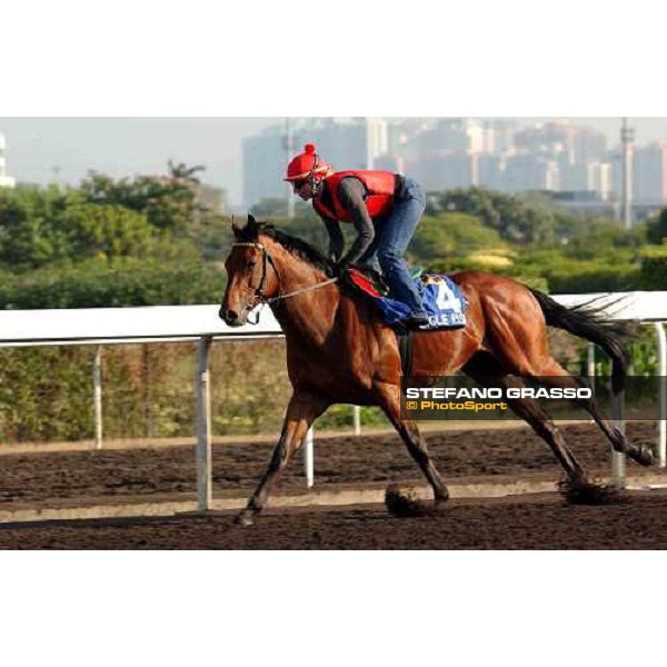 Eagle Rise morning track works at Sha Tin Hong Kong 10th dec.2004 ph. Stefano Grasso