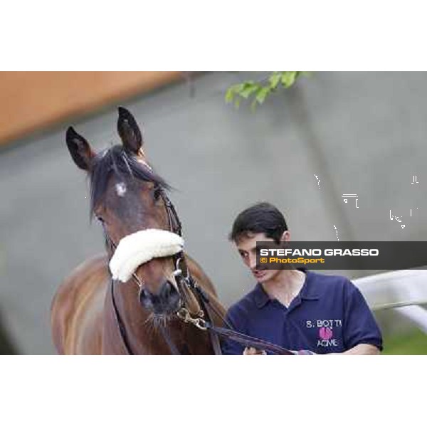 Smoking Joe Milano - San Siro galopp racecourse, 22nd april 2012 photo Stefano Grasso