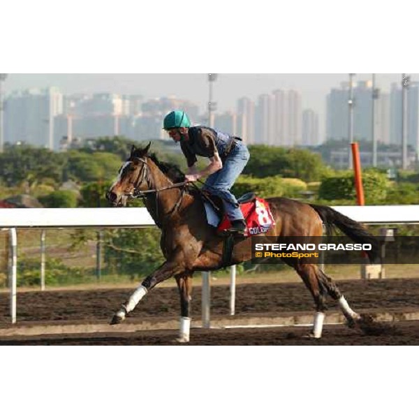 Alexander Goldrun morning track works at Sha Tin Hong Kong 10th dec.2004 ph. Stefano Grasso