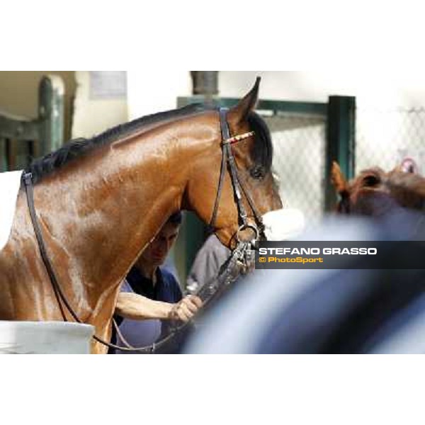 Smoking Joe Milano - San Siro galopp racecourse, 22nd april 2012 photo Stefano Grasso