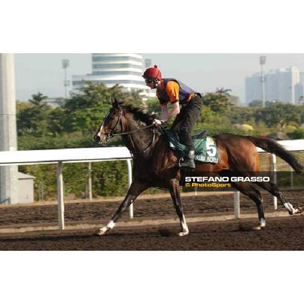 Brian Boru morning track works at Sha Tin Hong Kong 10th dec.2004 ph. Stefano Grasso