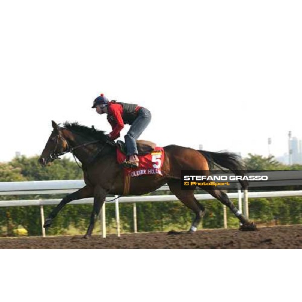 Soldier Hollow morning track works at Sha Tin Hong Kong 10th dec.2004 ph. Stefano Grasso