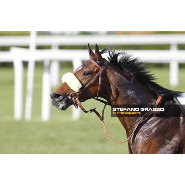 Mister Sandro Milano - San Siro galopp racecourse, 22nd april 2012 photo Stefano Grasso