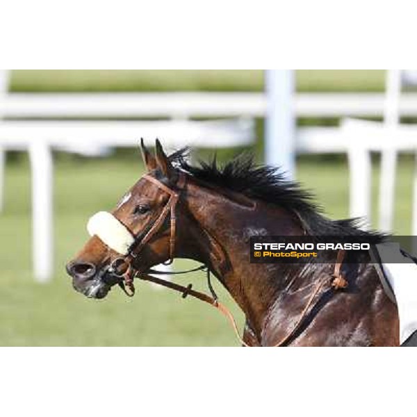 Mister Sandro Milano - San Siro galopp racecourse, 22nd april 2012 photo Stefano Grasso