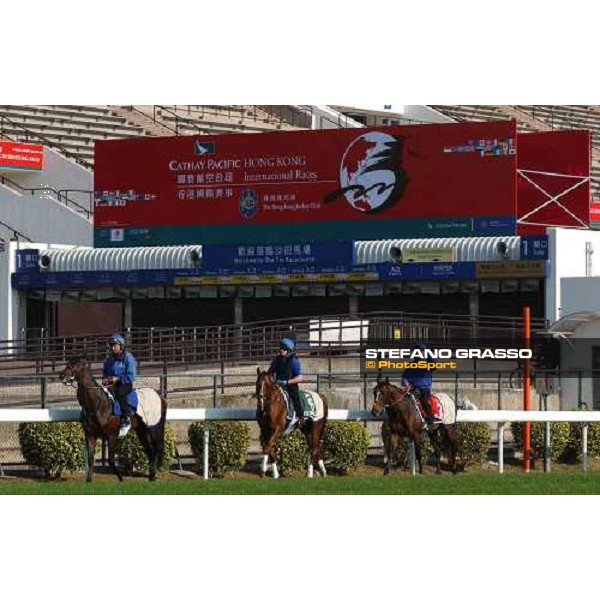 Firebreak, Ancient World and Sights on Gold morning track works at Sha Tin Hong Kong 10th dec.2004 ph. Stefano Grasso