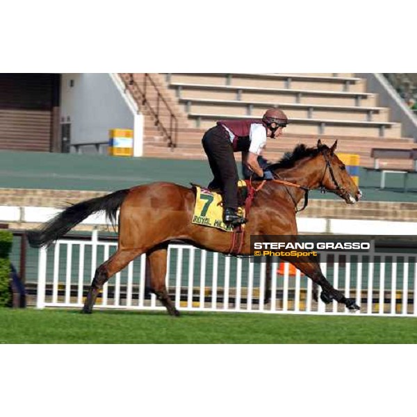 Royal Millenium morning track works at Sha Tin Hong Kong 10th dec.2004 ph. Stefano Grasso