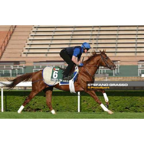Sights on Gold morning track works at Sha Tin Hong Kong 10th dec.2004 ph. Stefano Grasso