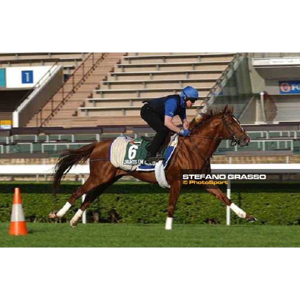 Sights on Gold morning track works at Sha Tin Hong Kong 10th dec.2004 ph. Stefano Grasso