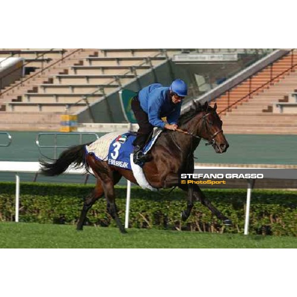 Firebreak morning track works at Sha Tin Hong Kong 10th dec.2004 ph. Stefano Grasso