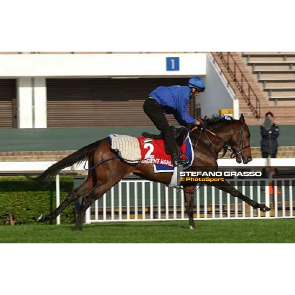 Ancient World morning track works at Sha Tin Hong Kong 10th dec.2004 ph. Stefano Grasso
