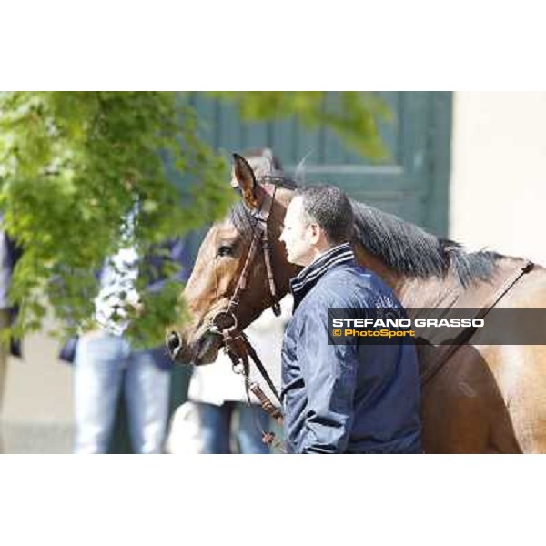 A portrait for Frankenstein before the race Milano - San Siro galopp racecourse, 22nd april 2012 photo Stefano Grasso