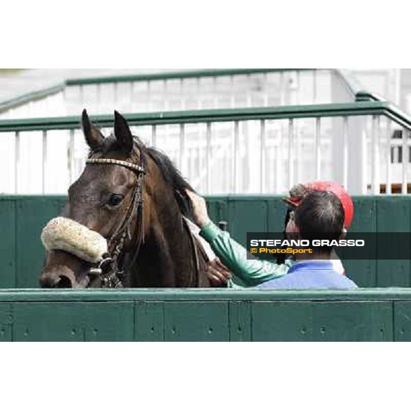 Aquila d\'Oriente after winning the Premio Alberto Zanoletti di Rozzano Milano - San Siro galopp racecourse, 22nd april 2012 photo Stefano Grasso